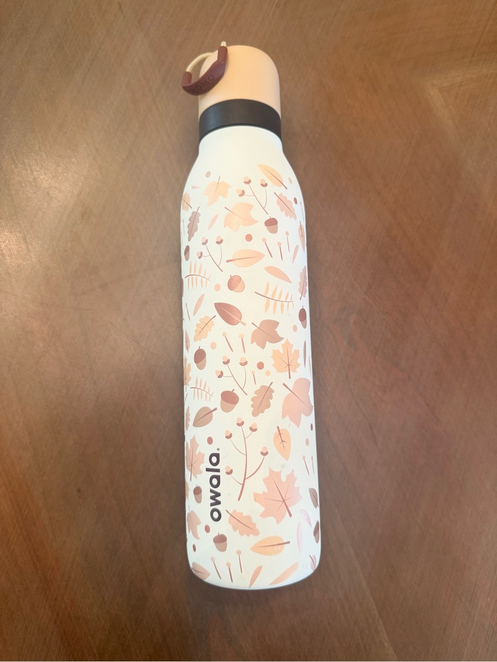 Owala Special Edition 24oz Stainless Steel Water Bottle Fall Flutter - Picture 5 of 9